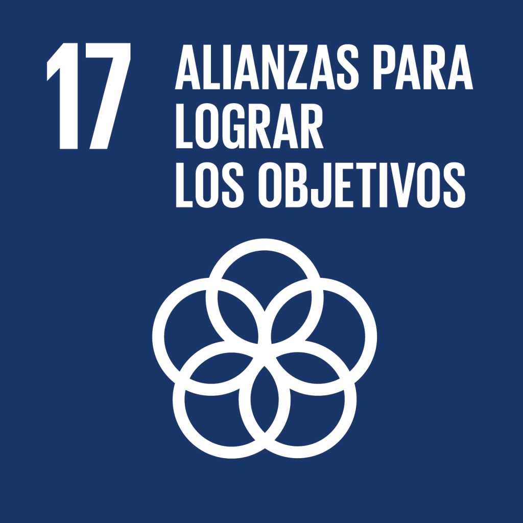 Objetivo 17